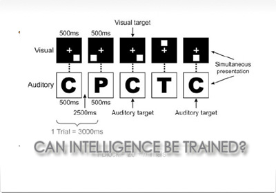 Can Intelligence Be Trained